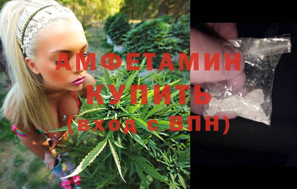 прущий лед Бородино