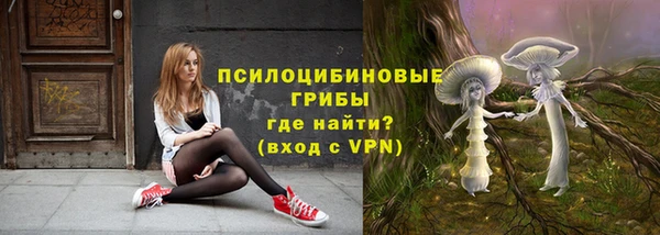 прущий лед Бородино