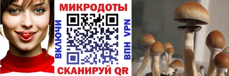 Галлюциногенные грибы мицелий  Купить где  Лихославль 